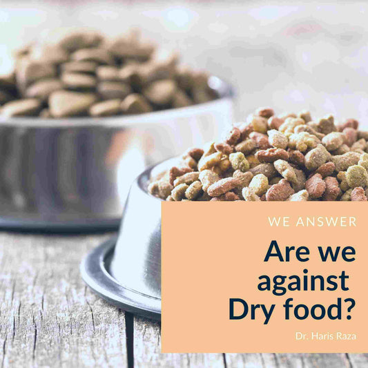 A dry food plate is what your dog needs? in this blog you find out if that is true with Petman's take on the Subject for Dry food and Dog Fresh food.